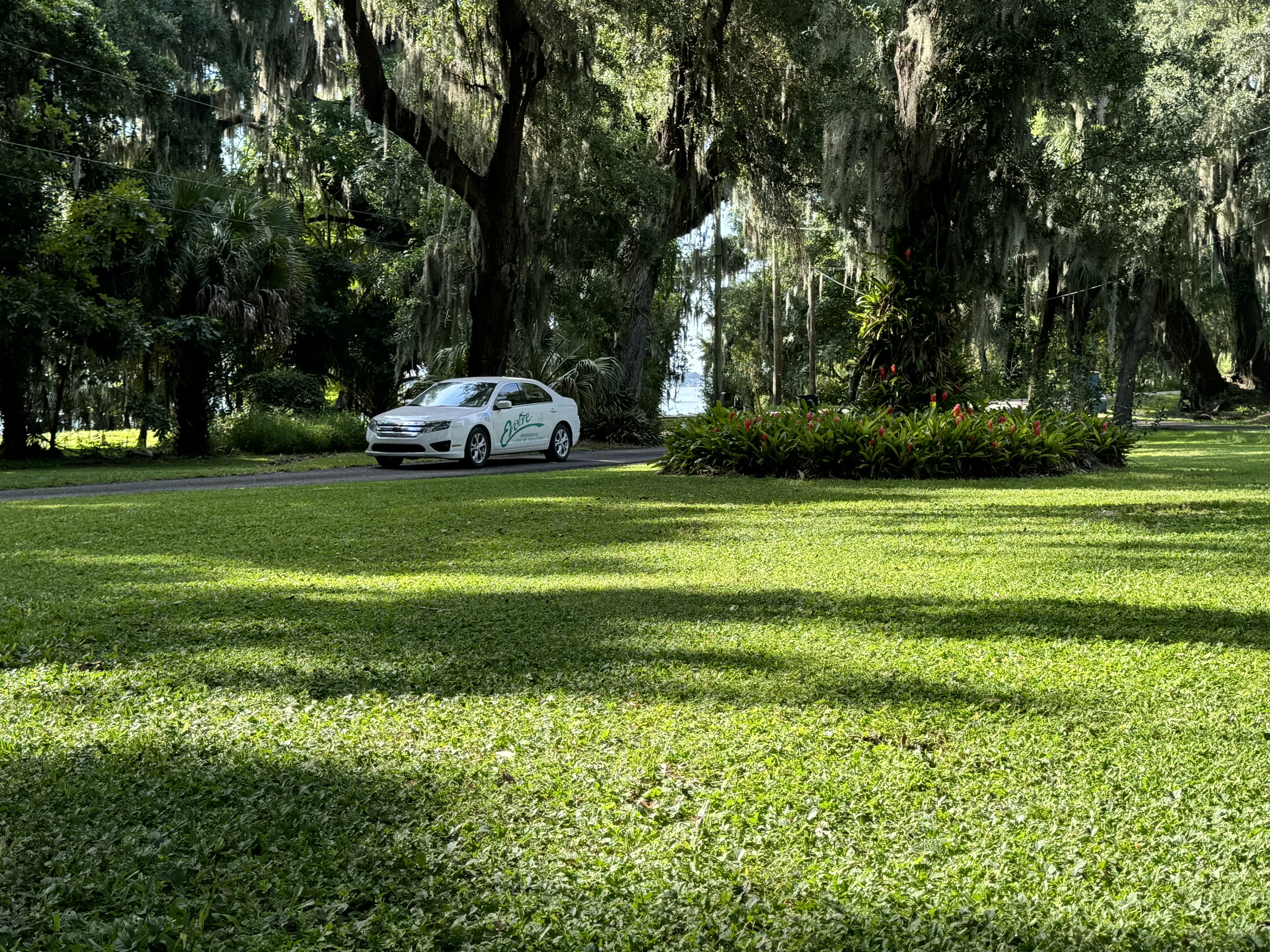 Expert Lawn Maintenance in Lake Wales: Solving Summer Lawn Care Challenges