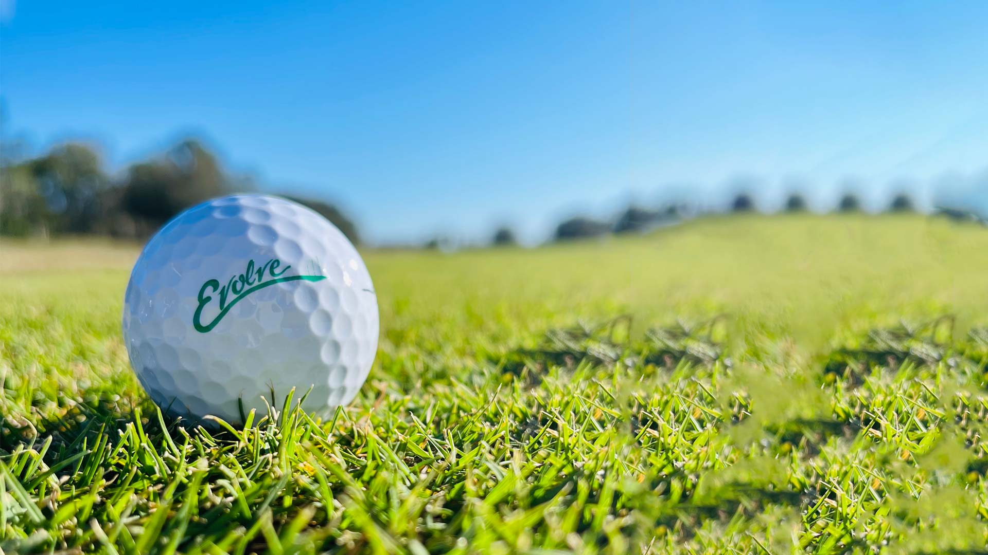 Evolve Contracting custom golf ball in grass.