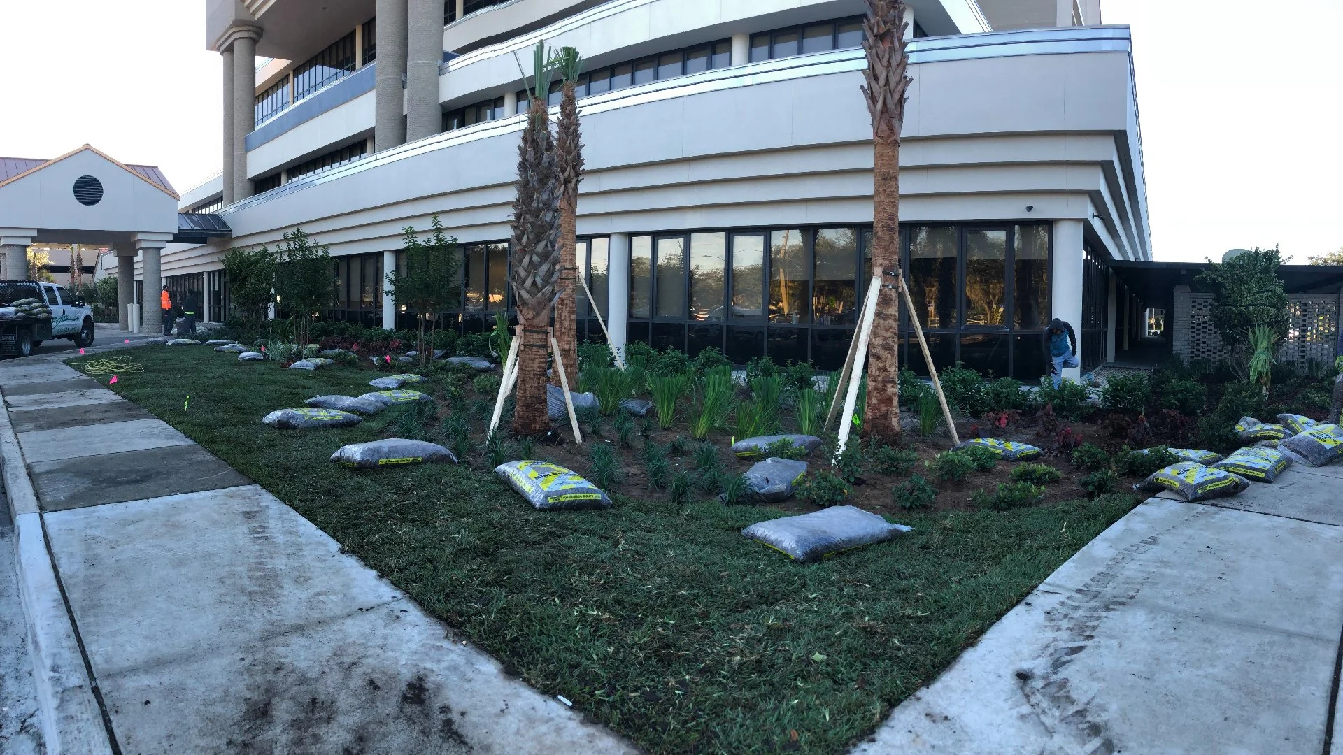 Commercial Landscaping Project in Bartow, FL - New Palm Trees, Plants & Mulch