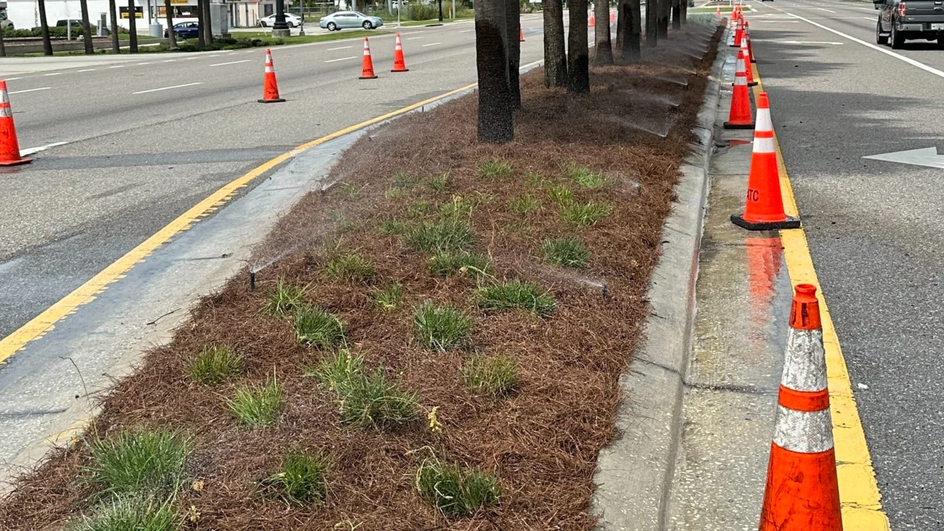 Highway 98 Landscape Renovation Project - New Plants, Mulch, Sod & More!