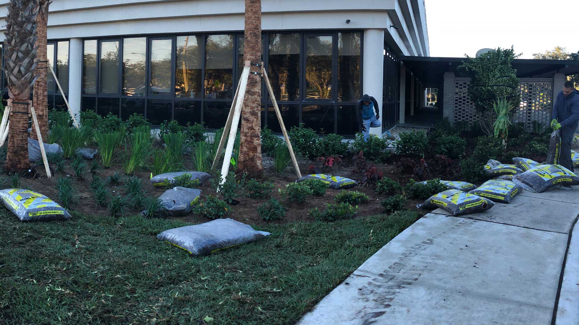 Landscaping project at a business in Lakeland, FL with new mulch being installed.