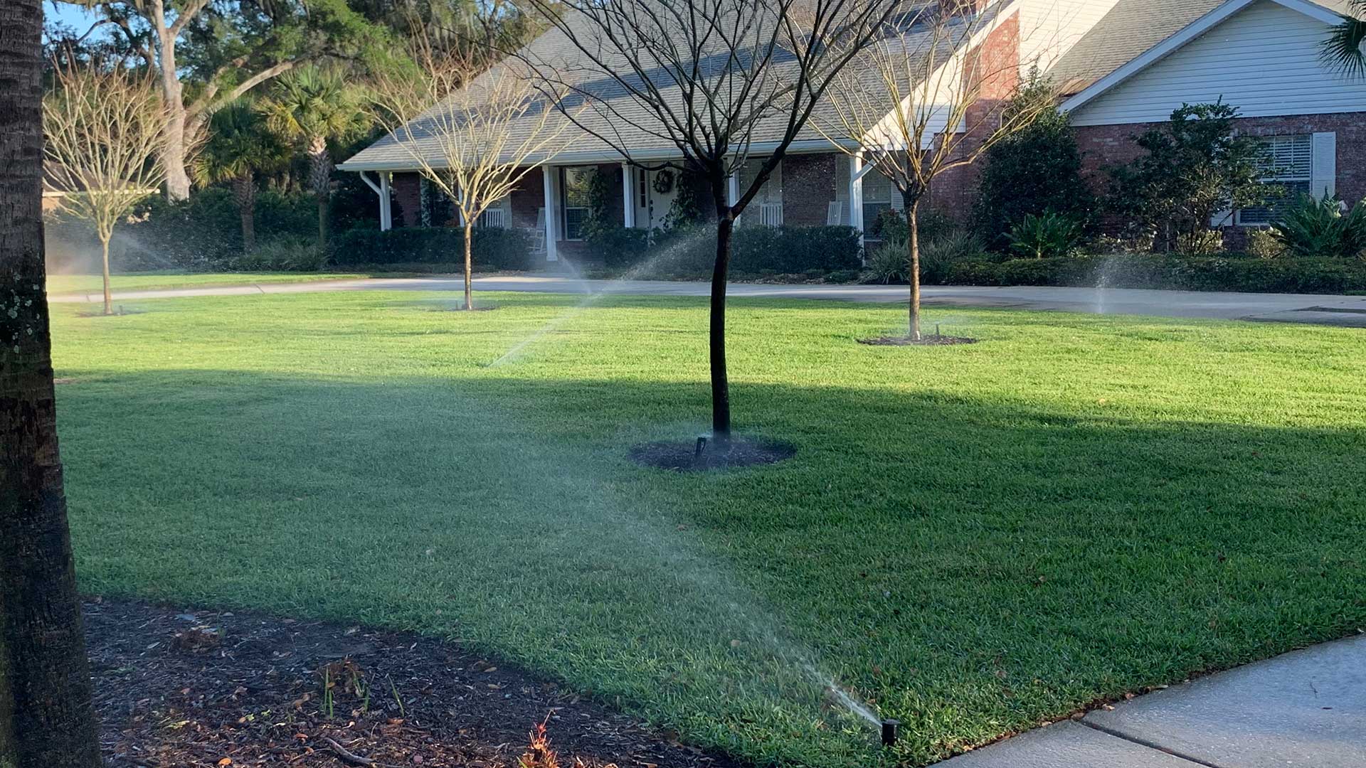 Sprinkler heads watering a lawn after or team installed a new irrigation system at a property located in Lakeland, FL.