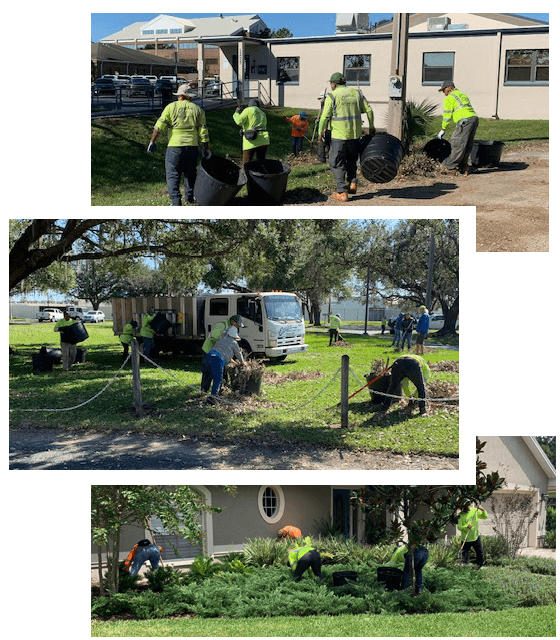 Collage of our team performing lawn and landscaping services at various job sites.