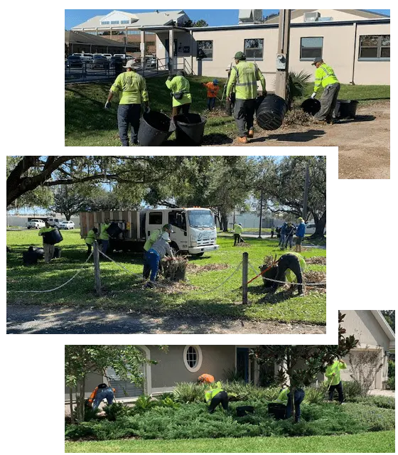 Collage of our team performing lawn and landscaping services at various job sites.