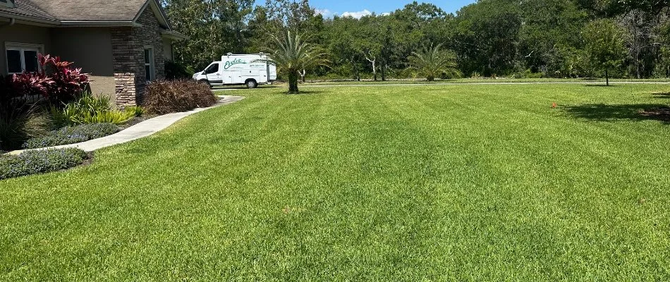 Freshly mowed lawn with work truck in background in Bartow, FL.