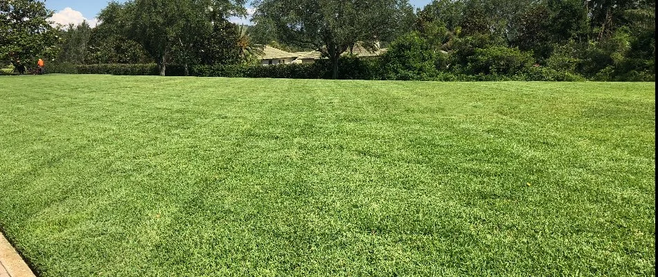 A green, mowed lawn in Haines City, FL.