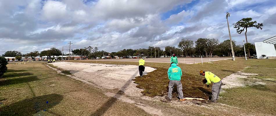 Sod installation at a sports complex located in Bartow, FL.