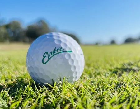 Evolve golf ball in grass.
