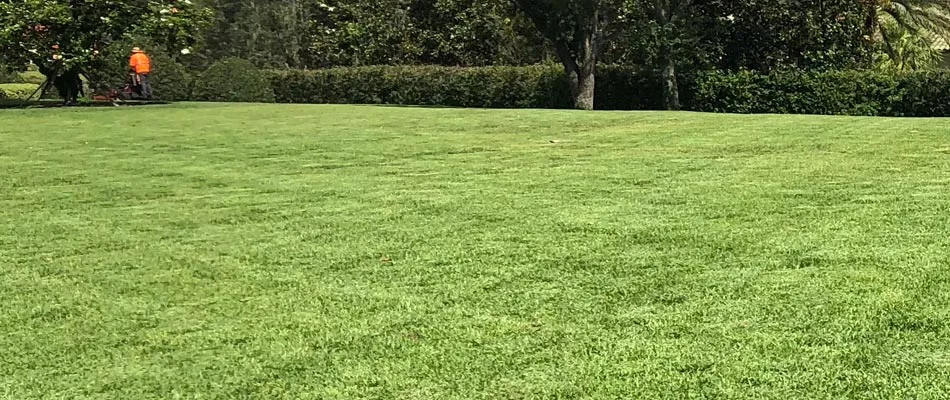 Lawn being mowed and cared for in Bartow, FL.