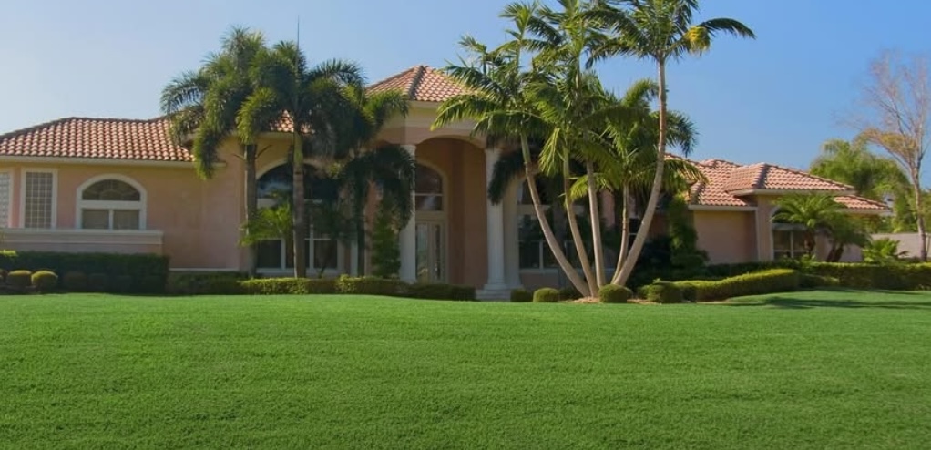 Healthy Lawn in Lakeland