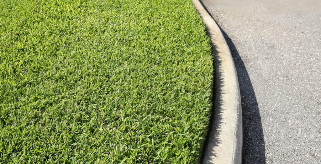 Best Types of Grass for Your Central Florida Lawn (Plus How to Keep Your Lawn Healthy Year-Round)