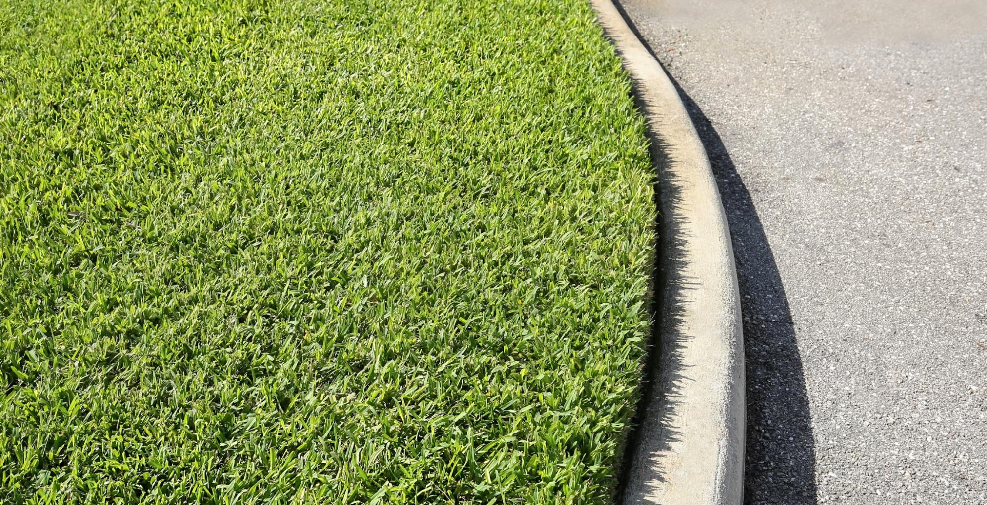 Best Types of Grass for Your Central Florida Lawn (Plus How to Keep Your Lawn Healthy Year-Round)