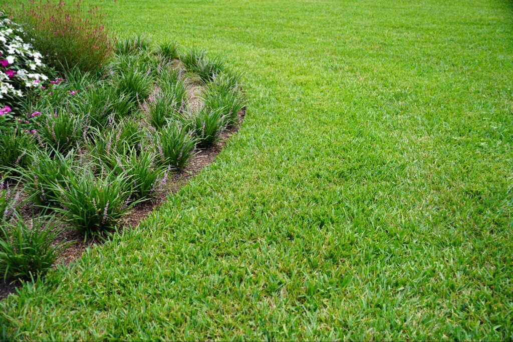 Hurricane Season Lawn Care Checklist for Florida Homeowners