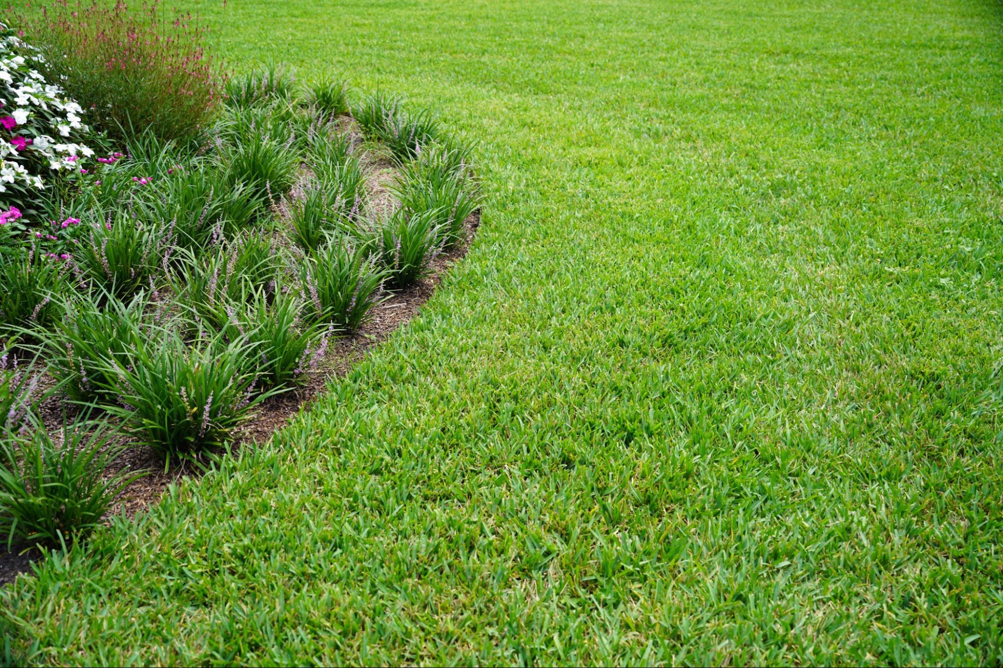 Hurricane Season Lawn Care Checklist for Florida Homeowners